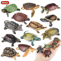 Figura de tortuga de simulación, juguete educativo de animales, tortuga de tierra realista, tortuga marina, estrella, modelo de tortuga, juguete cognitivo para niños