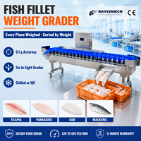 Automatische Gewichtssorteermachine RVS 304 Automatische Nulvolging voor Pangasius IQF-Vriesafdeling Visverwerkingsbedrijf