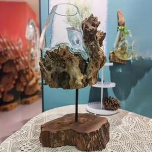 Nuovo vaso casa creativa ornamento in legno naturale con verde idroponico in vetro soffiato pianta uso decorativo per la casa - Product Image 5