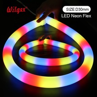360 Degrés Étanche RGBIC Pixel Smart SPI Adressable 5m Silicone LED Néon Corde IP65 Hôtel Éclairage 24V Tension D'entrée