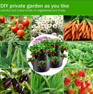 10 gallons fraise tomate plante sac de culture poignée de fenêtre tissu feutre matériel <span class=keywords><strong>pour</strong></span> intérieur extérieur pépinière serre compléments - Product Image 5