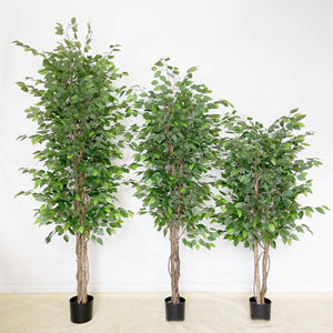 Simulation banyan Feuilles <span class=keywords><strong>d</strong></span>'<span class=keywords><strong>arbre</strong></span> Usine avec pots plantes artificielles <span class=keywords><strong>d</strong></span>écoration <span class=keywords><strong>faux</strong></span> <span class=keywords><strong>arbre</strong></span> <span class=keywords><strong>d</strong></span>écor plantas artificiales para interior - Product Image 2