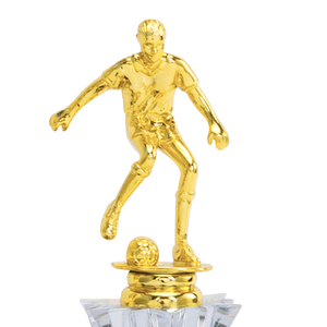 Trofeo <span class=keywords><strong>de</strong></span> premio <span class=keywords><strong>de</strong></span> fútbol americano <span class=keywords><strong>de</strong></span> plástico personalizado pequeño <span class=keywords><strong>del</strong></span> fabricante para <span class=keywords><strong>partidos</strong></span> <span class=keywords><strong>de</strong></span> eventos - Product Image 2