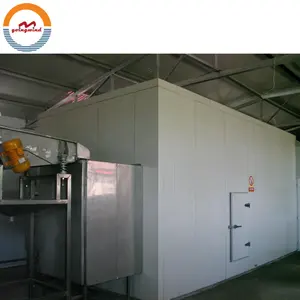 Frozen french fries quick freezing machine industry potato chips iqf tunnel instant freezer small french fry blast freezer price