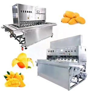 Machine <span class=keywords><strong>à</strong></span> éplucher les mangues personnalisée, éplucheur de mangues, machine <span class=keywords><strong>à</strong></span> enlever la peau des <span class=keywords><strong>ananas</strong></span>, des melons et du taro - Product Image 6