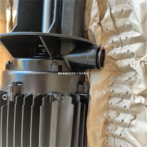 Bomba Centrífuga Brinkmann TC40/430-550+578 de Acero 20 con Motor Trifásico para Uso Industrial - Product Image 1