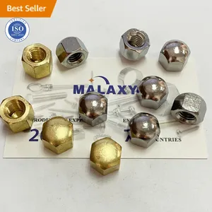 Malaxy ทองเหลืองโครเมี่ยมจากจีนขายส่งสินค้าขายดี Din917น็อตฝาหกเหลี่ยม M20 M12 Ss304 M24
