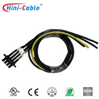 Câble de connexion de module de charge VE, faisceau de câblage d'alimentation 20kW 30kW pour borne de recharge DC