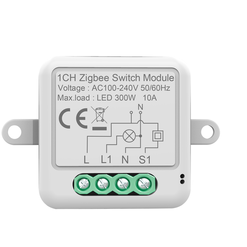 Alexa Tuya Smart Life 110V 16A