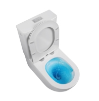 WC moderne en céramique blanche, deux pièces, à poser au sol, facile à nettoyer, pour salle de bain d'hôtel, avec siphon en P à trou unique