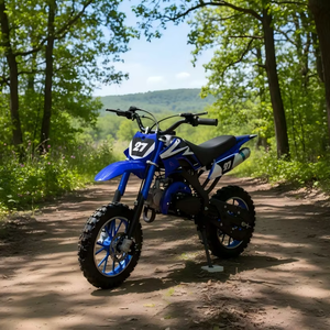 Precio Directo de Fábrica 2026 Motocicleta Todoterreno de Gasolina de 50CC con Enfriamiento por Aire para Niños, Moto de Cross de 2 Tiempos PCA-01 40-60km/h Envío Gratis - Product Image 1