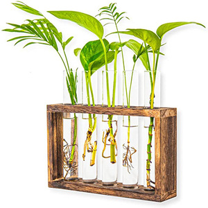 Station de propagation murale en verre pour plantes, avec 5 tubes à essai, pour hydroponie, plantes succulentes et plantes aériennes, vente en gros - Product Image 1