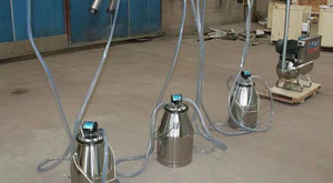 Điện thép không gỉ bò máy vắt sữa di động 4/6/8/10/20 Xô Lạc Đà dê cừu bò máy vắt sữa - Product Image 6