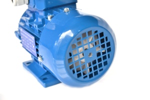 Motor de Inducción Trifásico Pequeño Serie IE1/Y2 de 1/4 de Corriente Alterna y 1500 rpm - Product Image 3