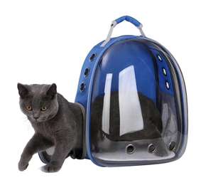Perro espacio en forma <span class=keywords><strong>de</strong></span> cápsula <span class=keywords><strong>mochila</strong></span> <span class=keywords><strong>de</strong></span> viaje <span class=keywords><strong>de</strong></span> <span class=keywords><strong>mascotas</strong></span> bolsa gato transporte/ - Product Image 4