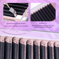 Extension de cils camélia personnalisée 0.05 0.07 Manga camélia Volume cils Base lâche C CC D DD LC LD Curl faux cils