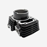 Pièces de moto HERO XPULSE200 Hunk190R Kit cylindre 66,5 mm de diamètre pour moteur Thriller 200