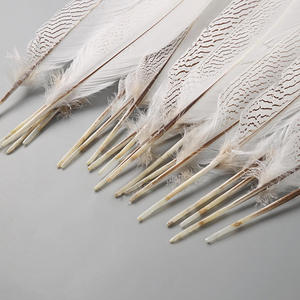 Plumas de Cola de Faisán Naturales Plateadas al por Mayor, de 15-80 cm, Impermeables, para Manualidades, Disfraces de <span class=keywords><strong>Carnaval</strong></span>, Graduación, Día de San Valentín - Product Image 5