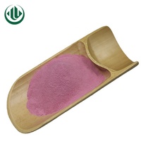 Chine Manufacture Extrait De Plantes Boisson Instantanée Rouge Rose Fleur Poudre Premium Produit À Base De Plantes