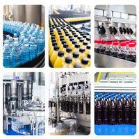 Ligne de production de remplissage de boissons gazeuses 8000 BPH avec rinçage, remplissage et capsulage rotatifs à contre-pression pour bouteilles PET ou en verre