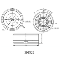 Moteur BLDC à arbre creux 39IM22 7.4-24V 84g 9600RPM haute vitesse pour drone, cardan, robot, système d'automatisation médicale et dispositifs