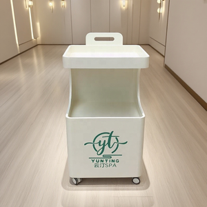 Chariot de beauté mobile moderne avec étagère de rangement, conçu pour les salons de beauté et les centres de soins de la peau. - Product Image 3