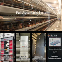 Système d'alimentation et d'abreuvement automatique à 4 niveaux pour poules pondeuses, cage à poulets de type H, poulailler