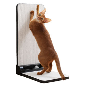 Milieubescherming Geplakt Niet Gemakkelijk Om Puin Krasbestendigheid Kat Kraskkarton Met Baanbal Af Te Werpen - Product Image 2