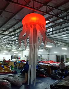 <span class=keywords><strong>2025</strong></span> nóng bán <span class=keywords><strong>Inflatable</strong></span> dẫn ánh sáng cho tổ chức sự kiện trang trí, dẫn ánh sáng <span class=keywords><strong>Inflatable</strong></span> trang trí - Product Image 4