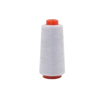 Fil à coudre en polyester de haute qualité 3000y 40/2, Hilo De Coser, 100% cône, haute ténacité