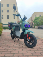 Cyclomoteur Électrique Étanche 48V 100Ah Batterie au Lithium Tout-Terrain avec Moteur 500W et Écran LCD