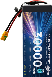 Premium High-Rate 6S 30Ah 10C Solid State Lithium <b>Battery</b> for Industrial RC FPV <b>Drone</b> - Product Image 2