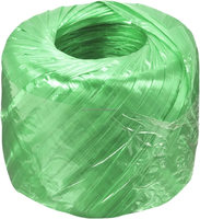 100g boule PP tomate chaîne ficelle emballage cordes coloré plat en plastique légumes corde jardinage 100g polypropylène agricole
