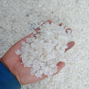 (Offre Spéciale 2025) Écailles de poisson séchées de qualité supérieure pour extrait de collagène | Fait à la main au Vietnam - VIET DELTA - Product Image 1