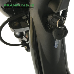 Popularité à l'étranger 48v20ah 60km Mobilité Commutation Cyclomoteur électrique rétro Poids léger 75kg - Product Image 4