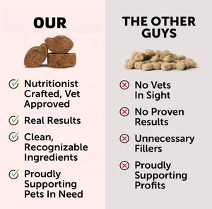 Integratore <span class=keywords><strong>per</strong></span> animali domestici prezzo <span class=keywords><strong>di</strong></span> fabbrica curcuma morbido mastica <span class=keywords><strong>per</strong></span> <span class=keywords><strong>cani</strong></span> cibo <span class=keywords><strong>per</strong></span> l'articolazione dell'anca supporto antiossidante e supporto <span class=keywords><strong>per</strong></span> il fegato cane - Product Image 3