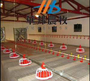 Автоматическая система кормления кур-бройлеров: шнековый привод, мотор из нержавеющей стали, бункер из полипропилена - Product Image 4