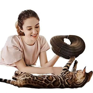 Hete Verkoop Milieuvriendelijke Kartonnen Kattenkrabber En Speelspeelgoed Met Interactief Ontwerp - Product Image 3