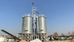 50 100 200 500 Tons Assembly Galvanized Wheat Rice Grain Bin Silos Machine For Flour Mills