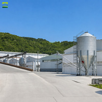Projet complet d'élevage de 250 000 poulets de chair : Équipement avicole entièrement automatique pour la production de poulets de chair à grande échelle