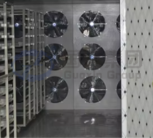 เครื่องอบแห้งขิงขนาดใหญ่ ห้องอบแห้งขิง อุปกรณ์อบแห้งขิง - Product Image 5