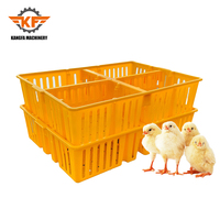 Cage de transport en plastique pour poussins, boîte à compartiments carrés pour poussins et canetons