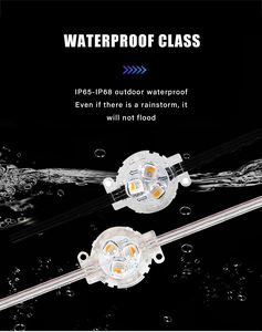 Luces LED de Punto SHIJI, Gran Venta, IP68, 24V, Permanentes, para Navidad, Iluminación Exterior, 30mm, LED SMD5050 RGBW, Luces de Punto Pixel - Product Image 4