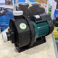 Pompe de circulation de piscine puissante à moteur CC à vitesse unique pour la vente en gros
