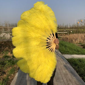 Éventail en plumes d'autruche douces et volumineuses pour économiser sur les dépenses, idéal pour le carnaval et les processions, les spectacles sur scène, le cinéma et la photographie, la collection et la décoration - Product Image 5