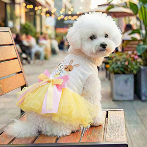 PETCIRCLE Novedades Primavera/Verano: Ropa y Accesorios para Perros y Gatos, Falda Tutú de Conejita para Pascua - Product Image 5