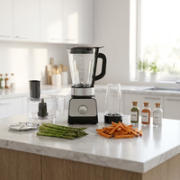 Professionele, duurzame, draagbare, heavy-duty elektrische blender/voedselprocessor van roestvrij staal en kunststof, met variabele snelheid en milieuvriendelijk.
