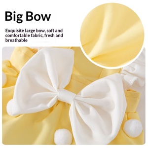 Nieuwe collectie lente schattig huisdier prinsessenjurk ruches grote strik pompons ademend lolita-stijl kostuum voor ragdoll katten (paars) - Product Image 4