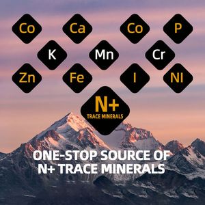 純ヒマラヤ産シラジットペースト 高品質天然ハーブエキスオイル 強力な樹脂 プライベートラベル付きボトル入り - Product Image 5