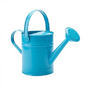 Regadera Metálica Color Azul Cielo, Regadera de Alta Calidad, Tamaño y Forma Personalizables, Regadera a Precios Económicos - Product Image 1
